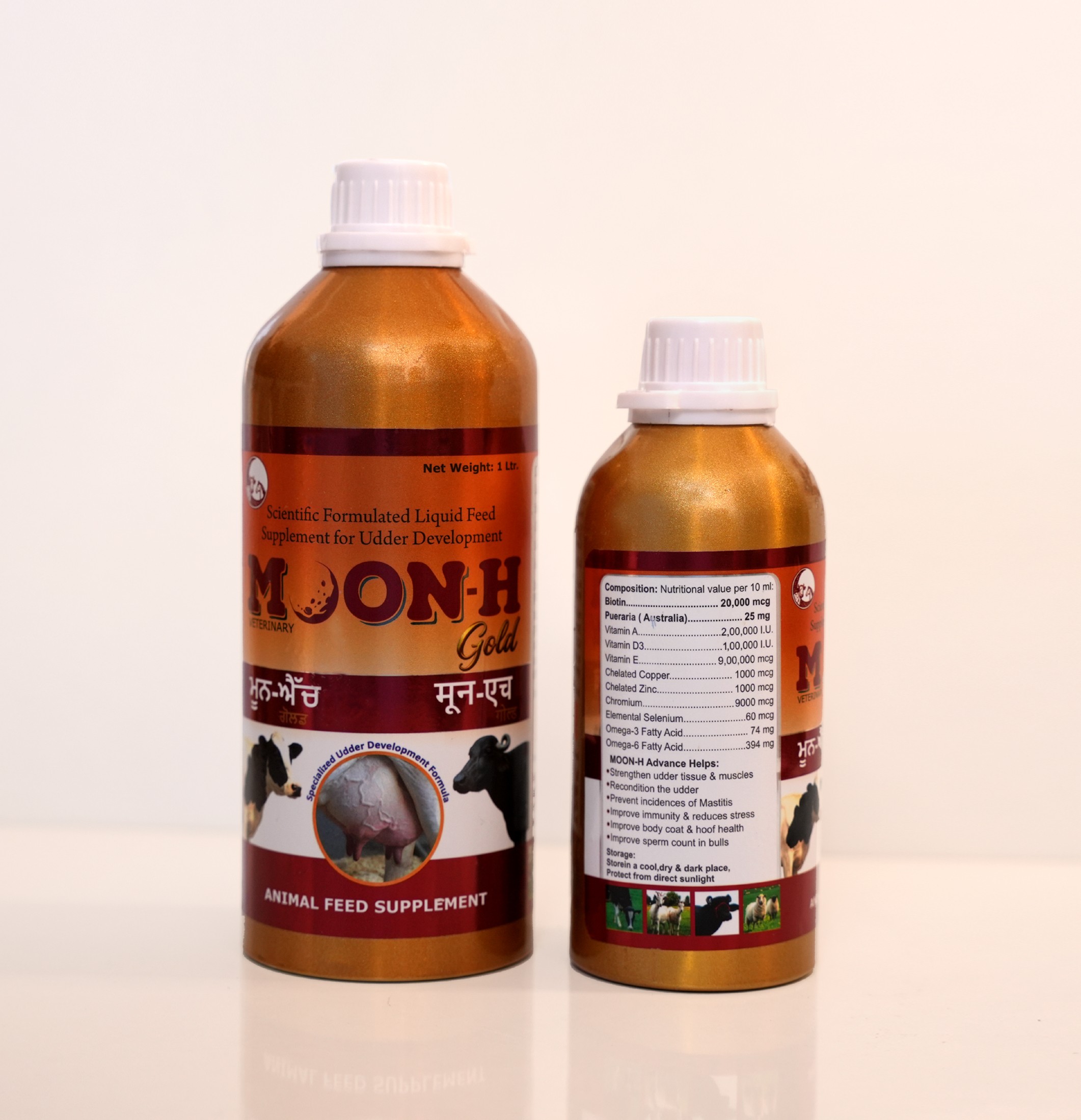 moon h gold 1 moon h gold 1