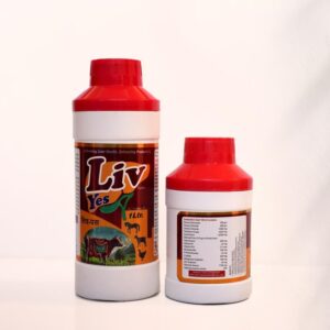 whatsapp image 2025 10 25 at 16.51.53 342f715c