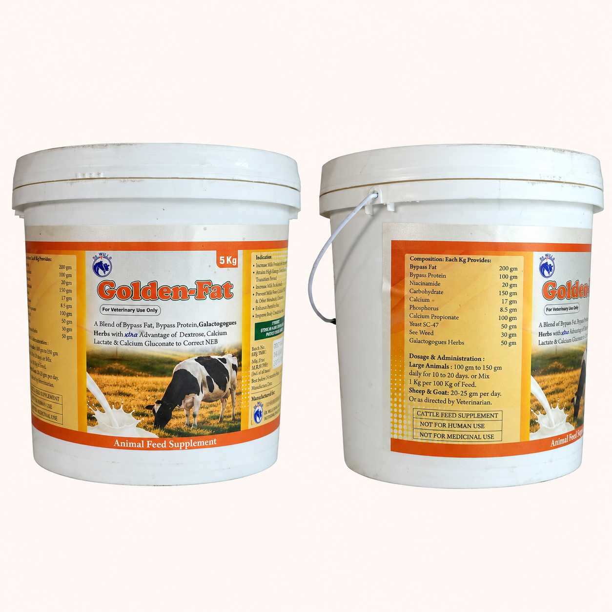 golden fat golden fat
