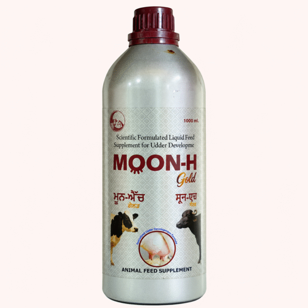 moon h gold