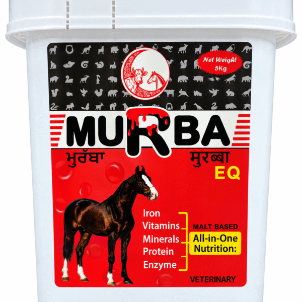Home murba eq